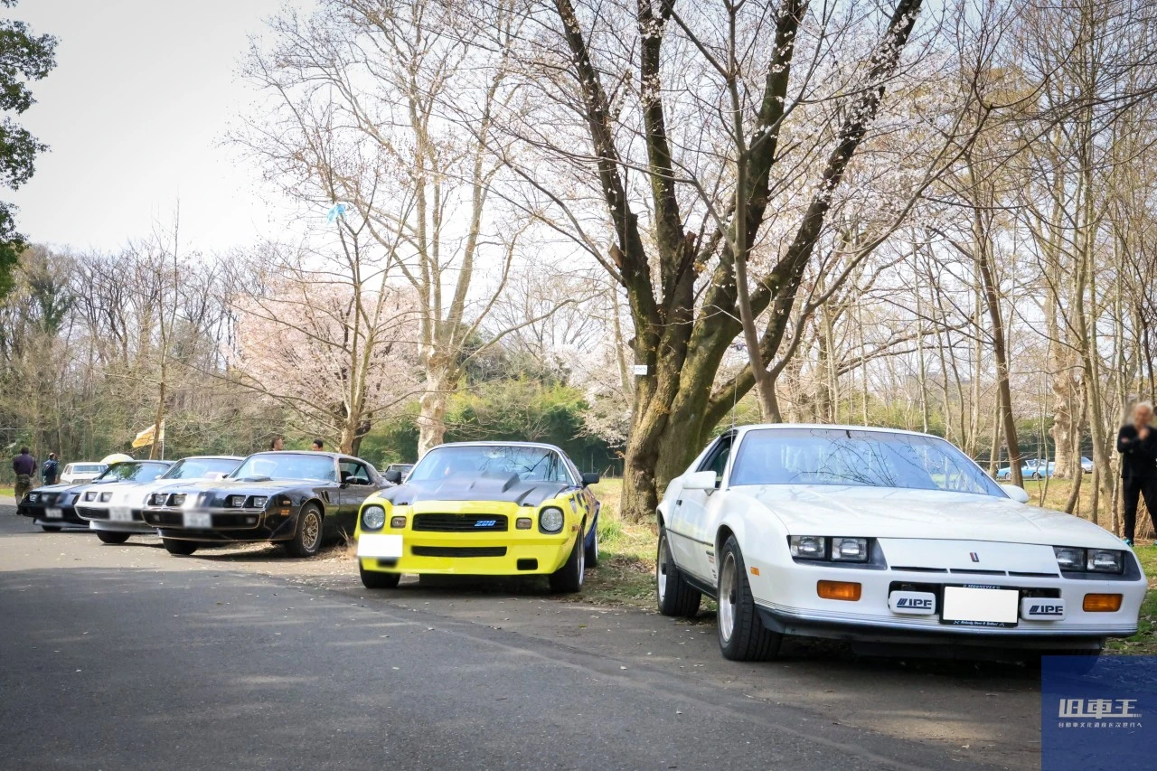並んで停車する車