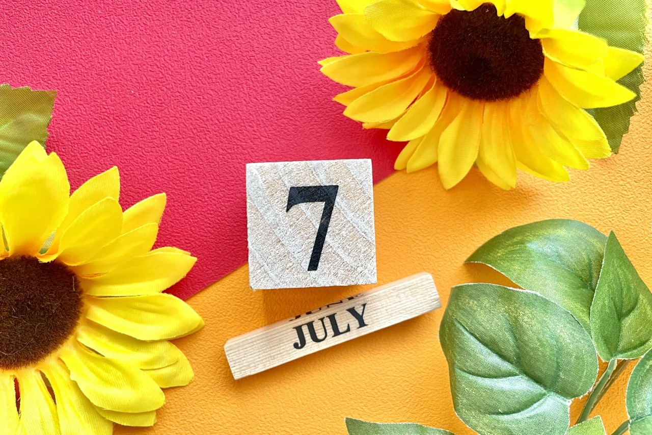 2026年7月にアルテッツァジータが25年ルール解禁！今後値上がりする？