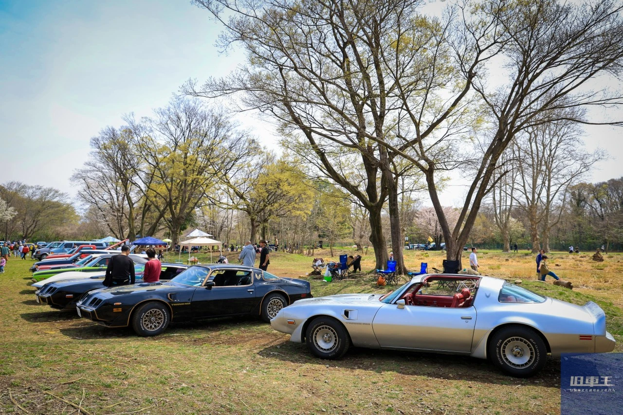 たくさんのクラシックカー