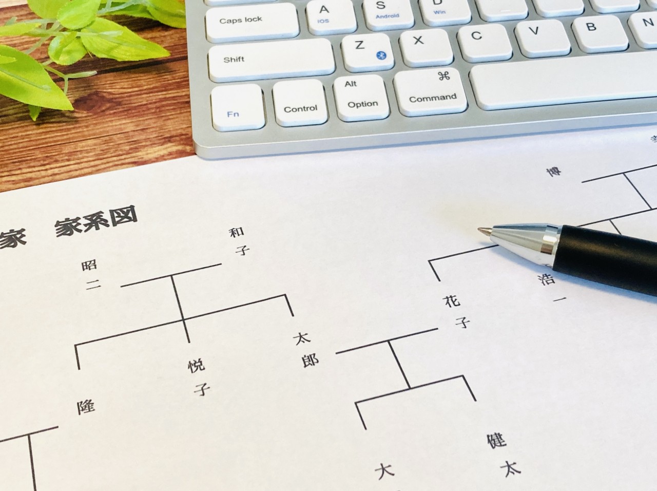 相続した車を複数人で所有する「共有名義」とは？問題点や手続き方法を解説