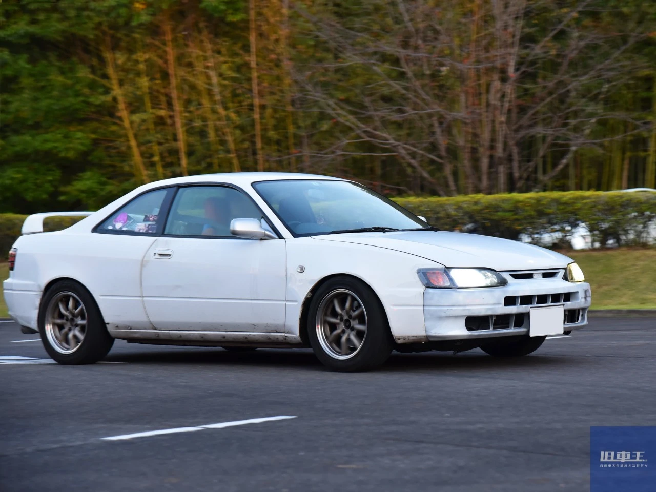 白いカローラレビン