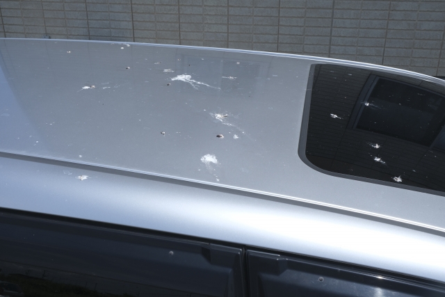 鳥のフンで車の塗装が剥がれ場合の対応ガイド！予防策まで解説