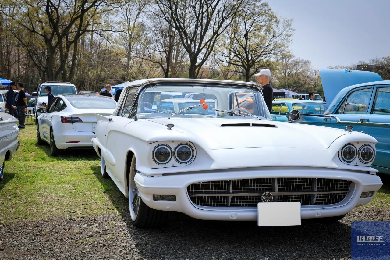 白いサンダーバード