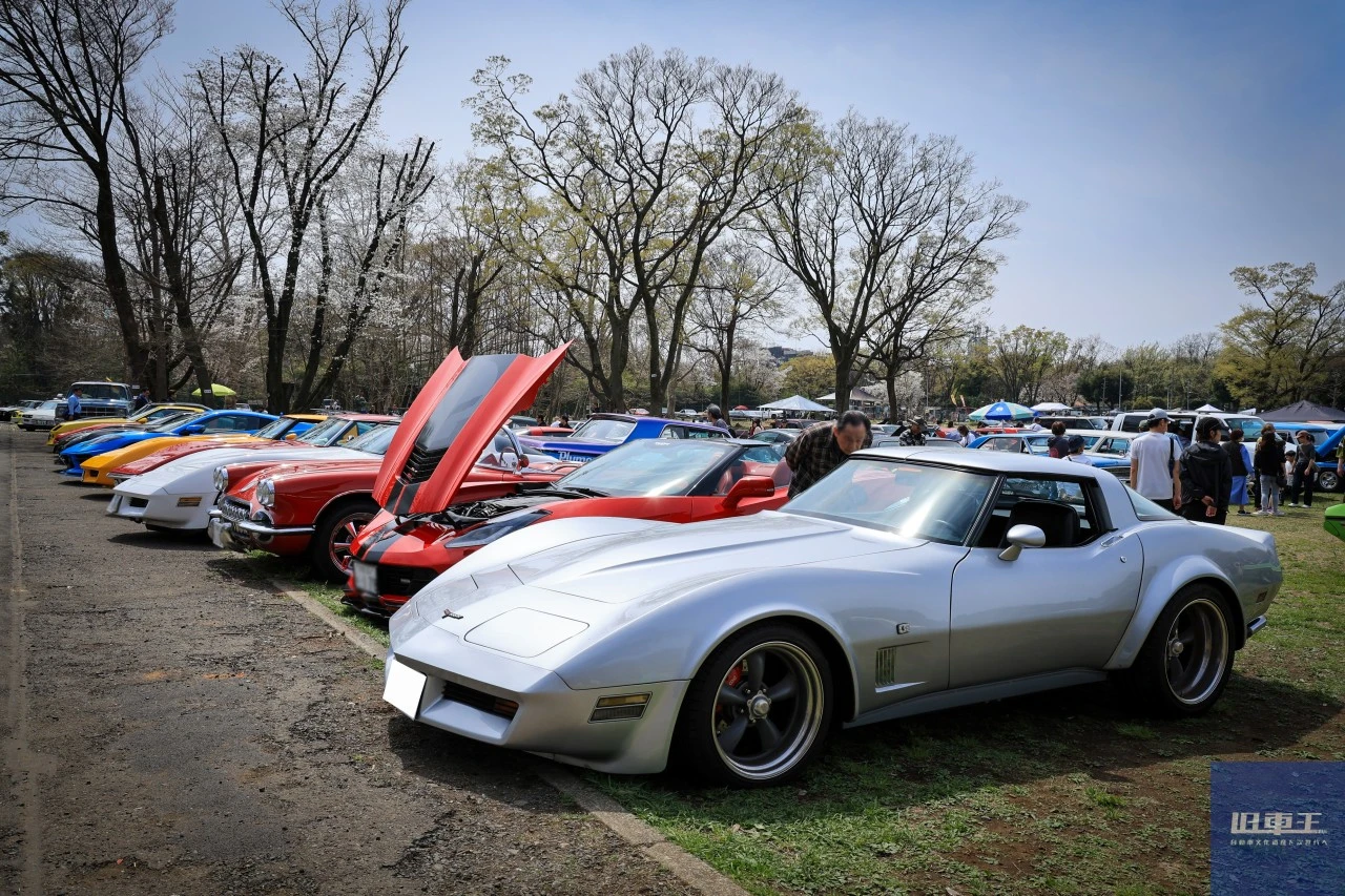 会場に並んだたくさんの車