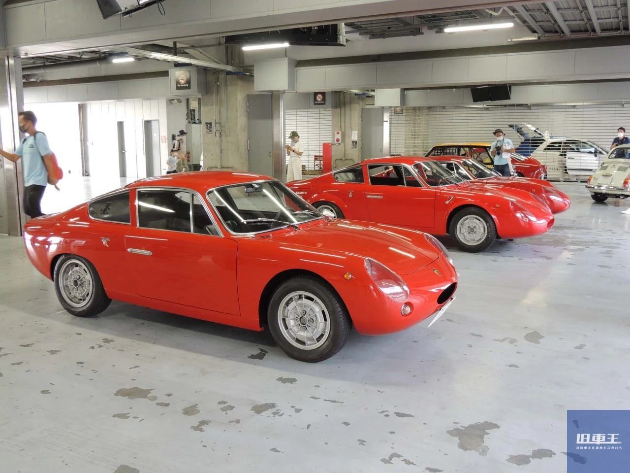 パドック内で出走を待つ複数の車