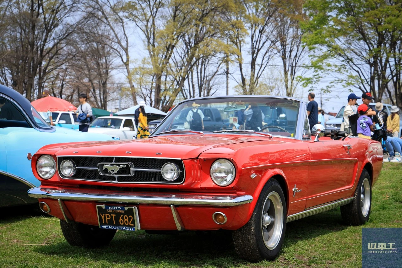 赤いマスタング