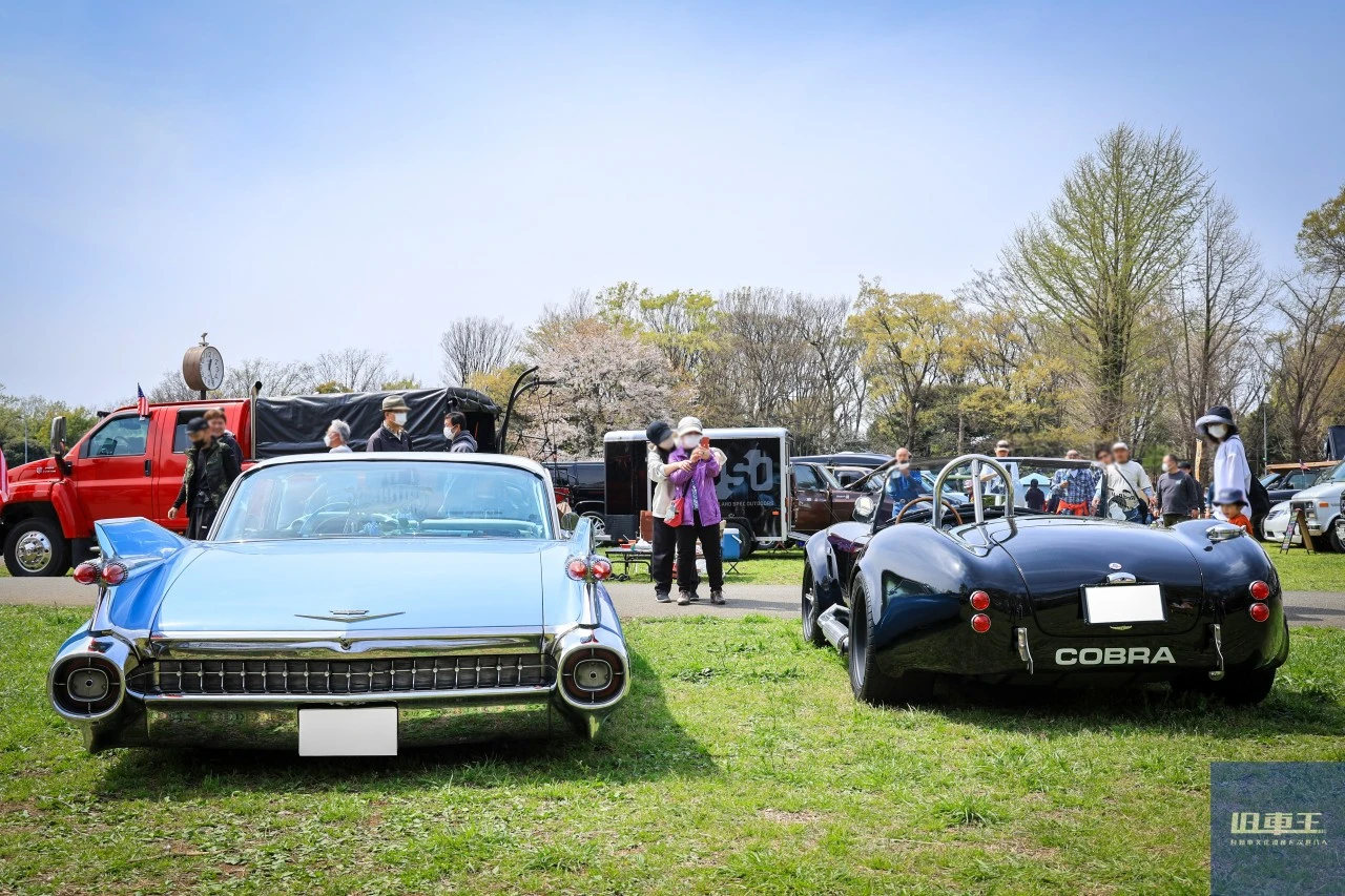 芝生に並ぶ2台のクラシックカー