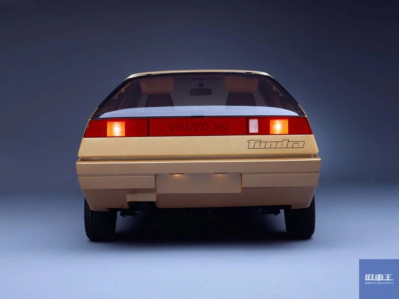 ツンドラの後ろ姿