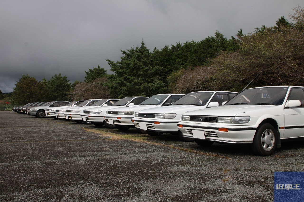 整列するブルーバード